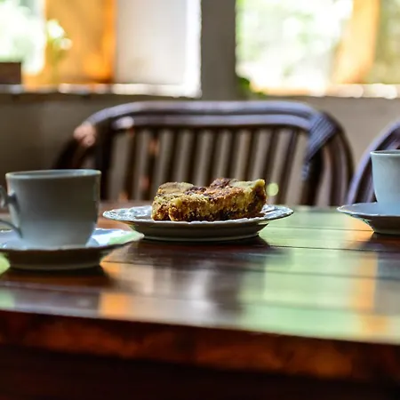 Апартаменты Donna Трогир